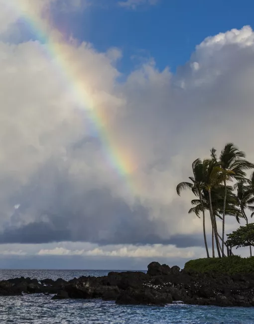 Travel Professionals Rainbow cutting through a partly cloudy sky over the beach