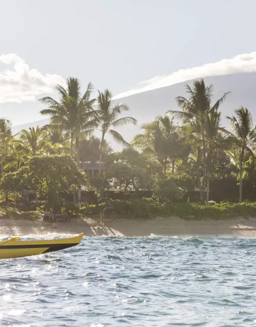 Weather Yellow boat floating near the sandy shore with palm trees in the background