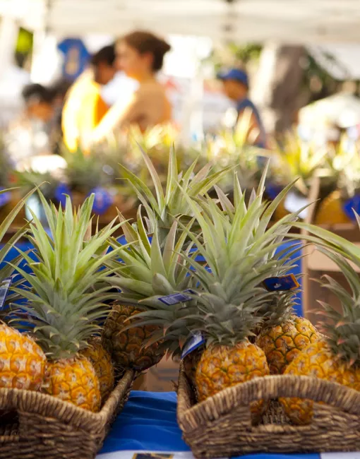 FAQs Pineapple at a farmers market in Oʻahu