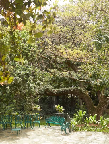 Hanaiakamalama (Queen Emma Summer Palace) Hanaiakamalama (Queen Emma Summer Palace)