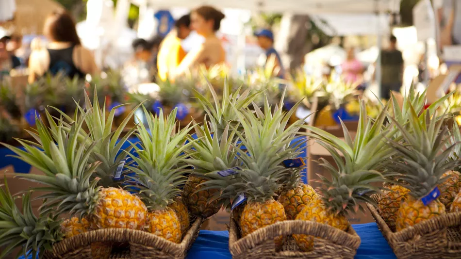 Video: Honolulu and South Oʻahu Video: Honolulu and South Oahu