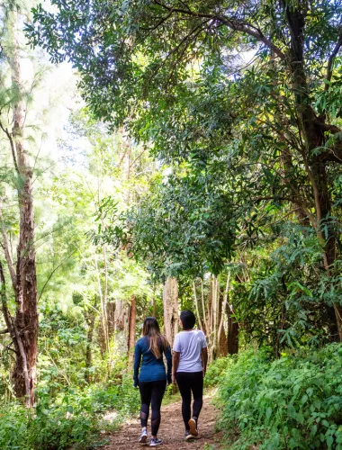 Oʻahu Sustainable Travel Tips Hiking in Oʻahu