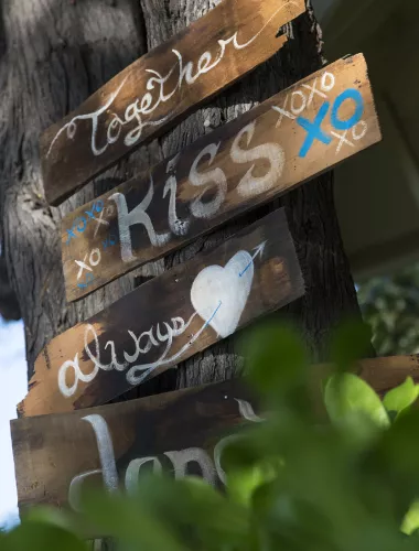 Wedding Services and Venues Wooden signs on a tree with words like Together, Kiss, and Always, decorated with hearts.