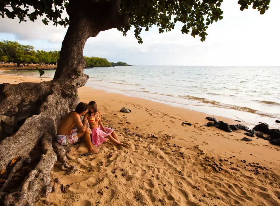 Beaches of Hawaii Couple sitting under a tree on a sandy beach, enjoying a peaceful moment by the ocean with lush greenery in the background.