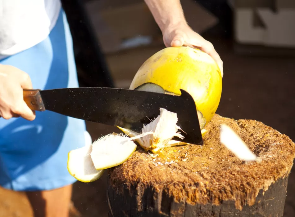 Person using a machete to chop open a fresh coconut on a wooden surface, with coconut pieces scattered around.