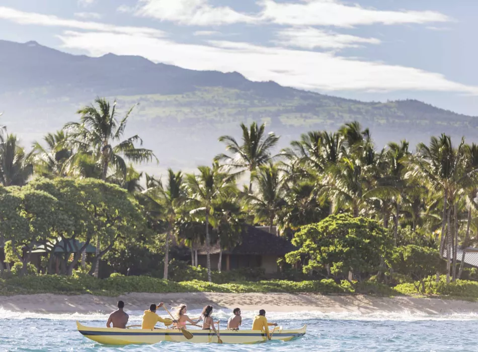 Water Activities Group of people rowing on a calm bay with lush greenery, palm trees, and mountains in the background on a sunny day.