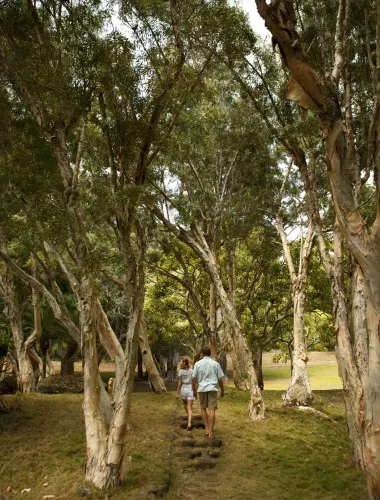 Couple walking in a grove of trees on Lanai, a small Hawaiian island