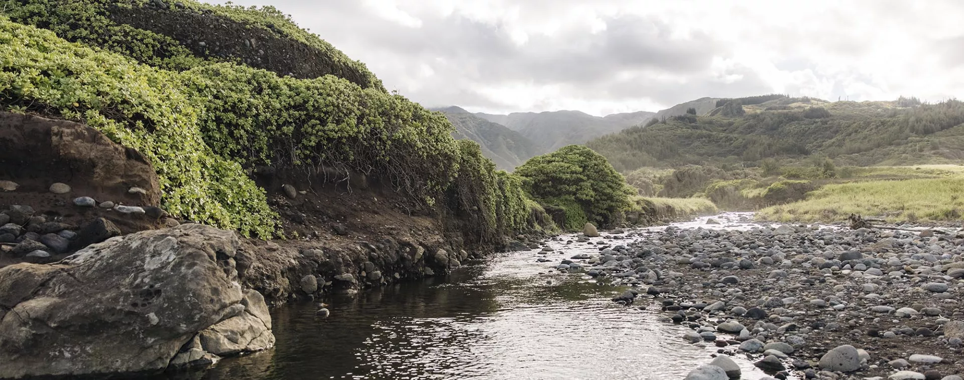 Habitat Stewardship Image