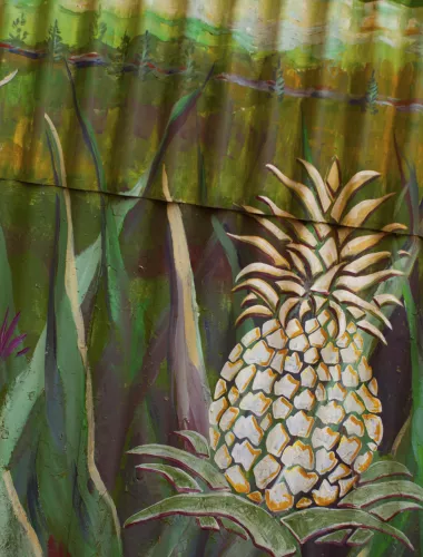 Lanai Events A painting of a pineapple