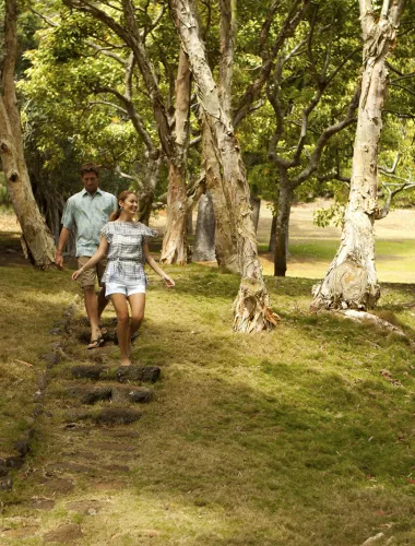 Lanai Activities Scenic hiking trail on the Hawaiian island of Lanai