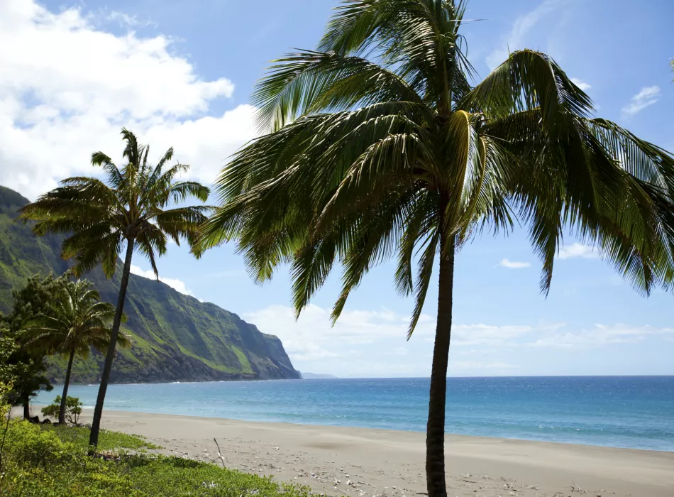 Beaches of Molokai An empty beach with palm trees on the Hawaiian island of Molokai