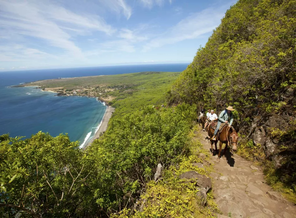 Land Activities A guided horseback ride up the sea cliffs of Molokai