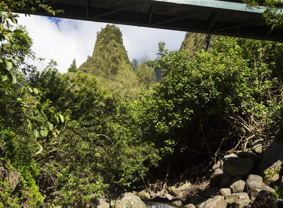 A lush green landscape with dense vegetation and a towering peak visible in the background.