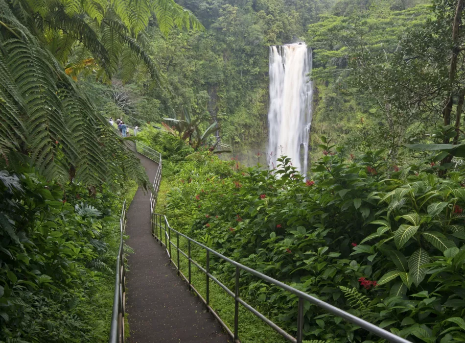 A lush path surrounded by tropical greenery leading to a tall waterfall.