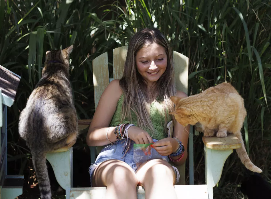 Cat sanctuary on Lanai with cats a young lady