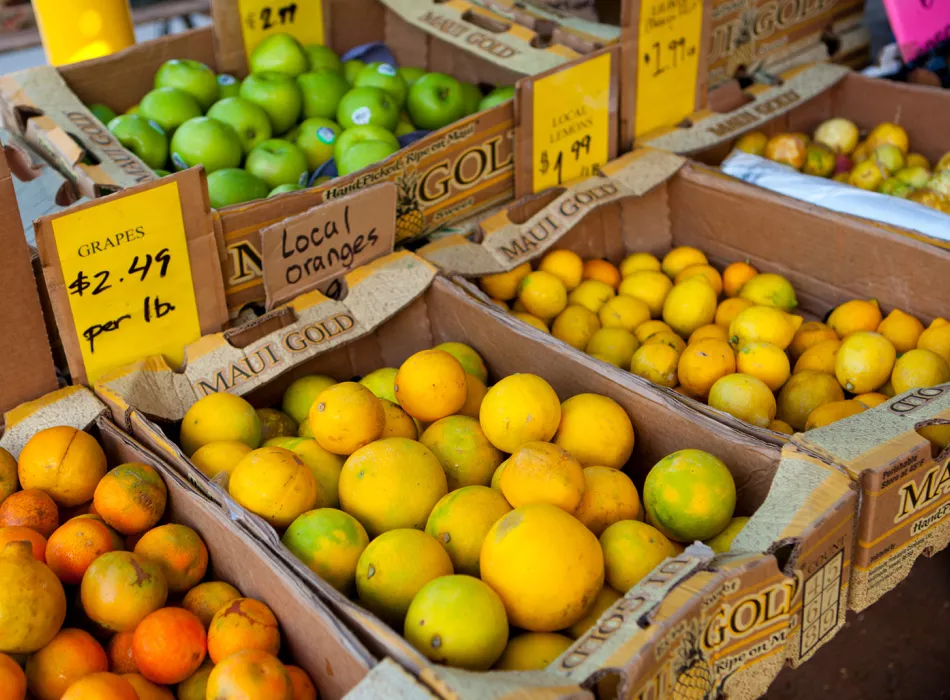 Fresh local oranges and lemons displayed at a farmers market.