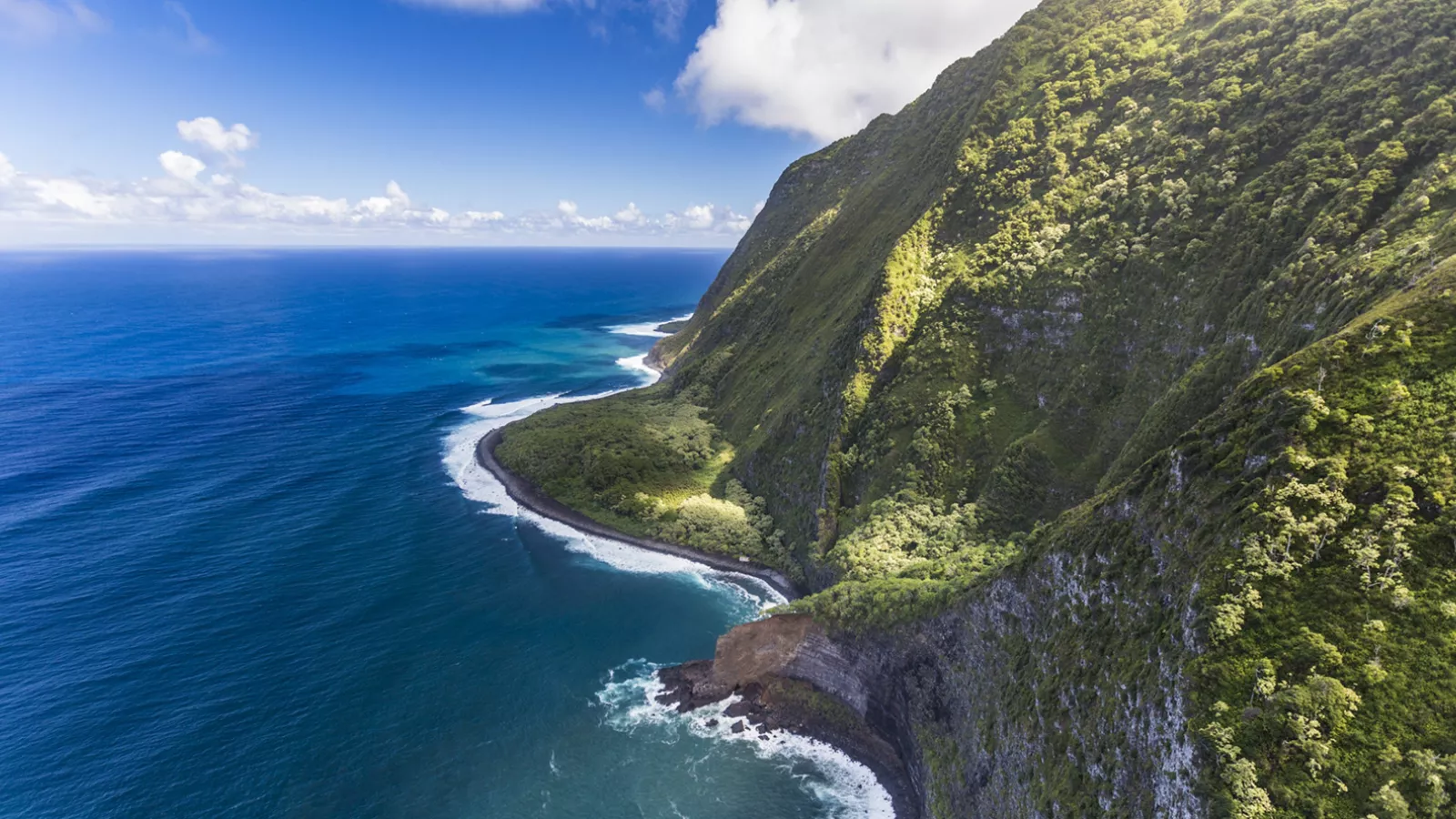 Hear a Hawaiian Chant Hear a Hawaiian Chant