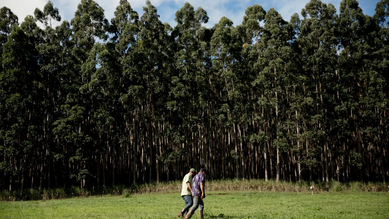Chef Sheldon Simeon and Brandon Lee
