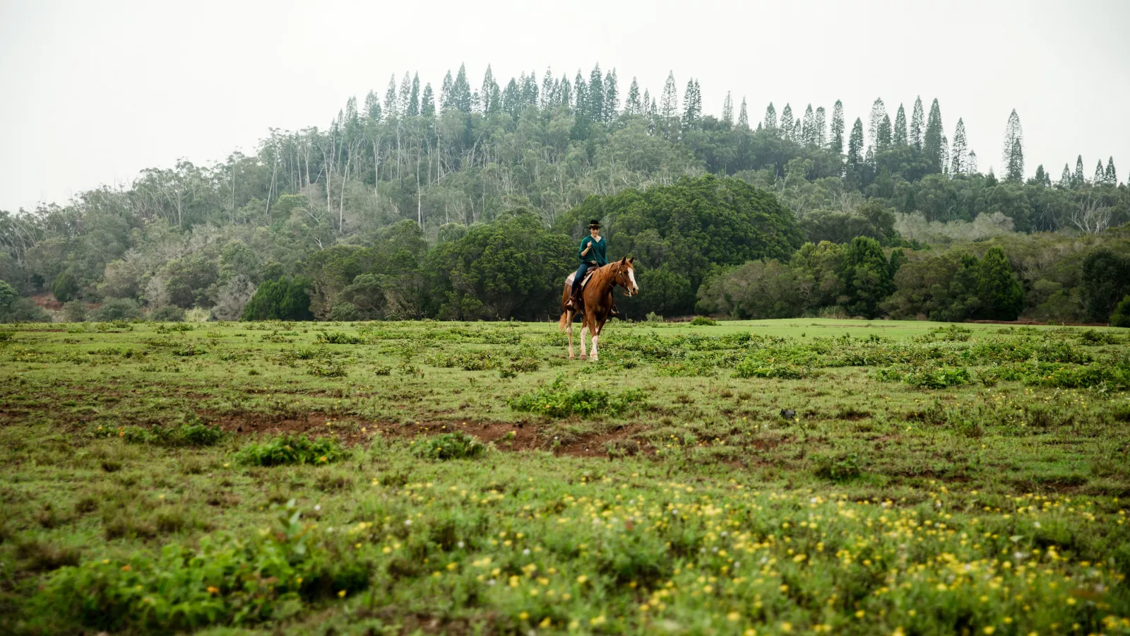 Hawaiʻi Rooted: Anela Evans